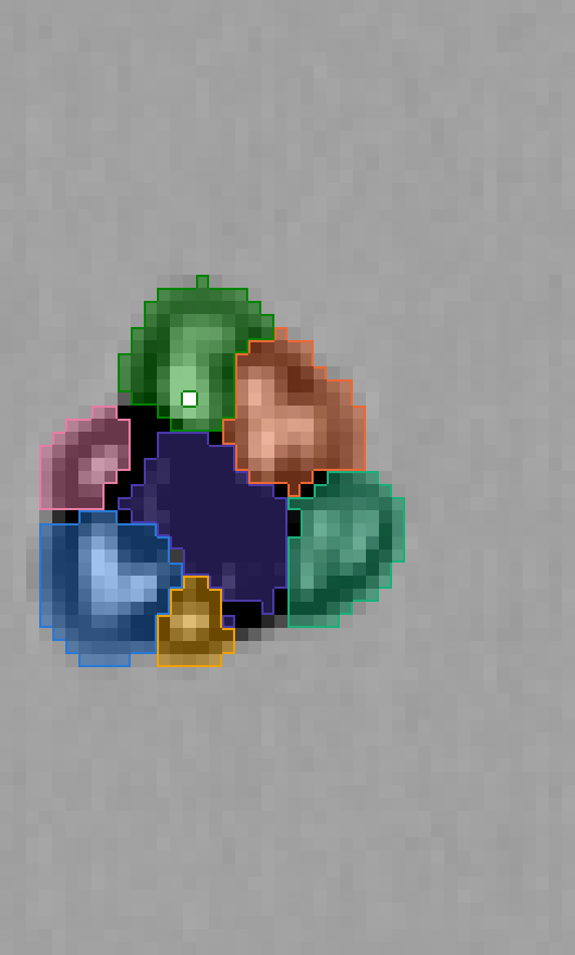 The same frame segmented by FynSig, each cell a separate colour
